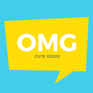 Dog Park Blues - OMG Cute Dogs!