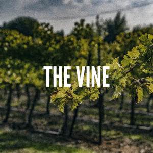 The Vine by Seth Addison