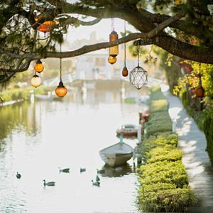 Naiara Costa Da Silva - A Quiet Morning Between Birds and the Lake