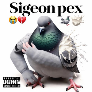Sigeon pex Sennis Tex 67 by Vault Uploads
