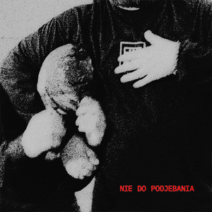 NIE DO PODJEBANIA by ZEROLOGO, NNFOF