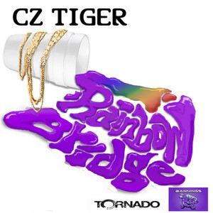 Rainbow Bridge by Cz Tiger