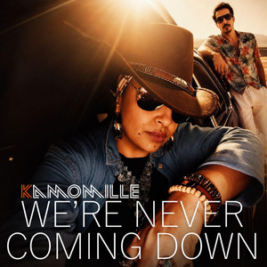 We’re never coming down - Radio Edit by Kamomille