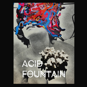 Acid Fountain cover