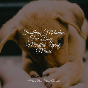 Soothing Melodies For Dogs | Mindful Living Music album