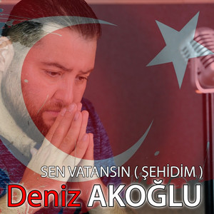 Sen Vatansın (Şehidim)