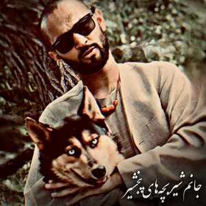 Panjshir Music - مست ترین آهنگ محلی بچه های پنجشیر