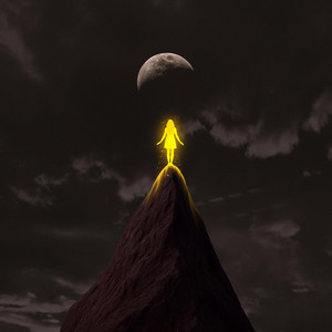 Light of the Night