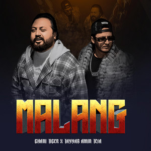 MALANG 2.0 Ghani Tiger (feat. Tayyab Amin Teja)