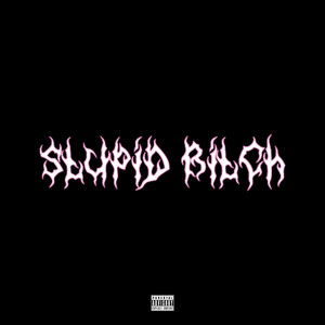 Stupid Bitch