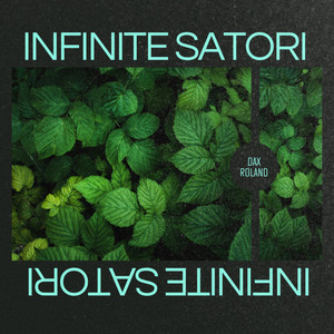 Infinite Satori by Dax Roland