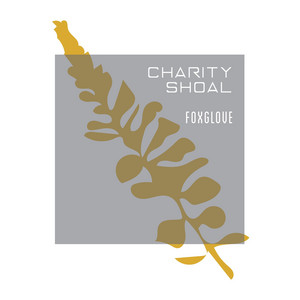 Charity Shoal