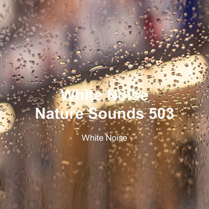 White Noise 503 (Rain Sounds, Bonfire Sound, Baby Sleep, Deep Sleep) cover art