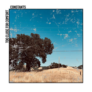 In Vain by Too Close For Comfort