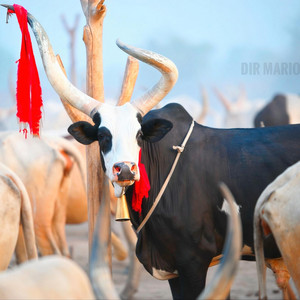 Nhial Tactician - Kueeth