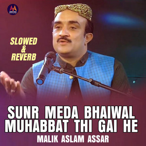 Malik Aslam Assar - Sunr Meda Bhaiwal Muhabbat Thi Gai He (Slowed & Reverb)