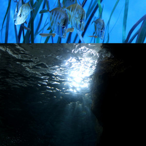 Pelagic Memory by 97 Sound Signal