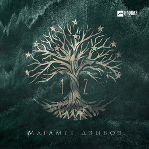 12 by Magamet Dzibov