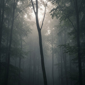 Rain of Hearts by Mogensen