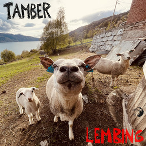 Nev Aadne by Tamber