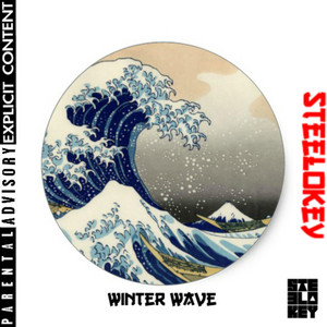 'Winter Wave' by Steelokey