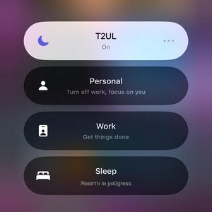 T2UL