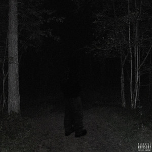 woods