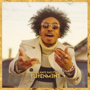 Elitenment - Could Have Had It All