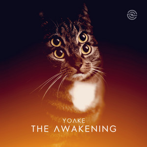 The Awakening by Yoake