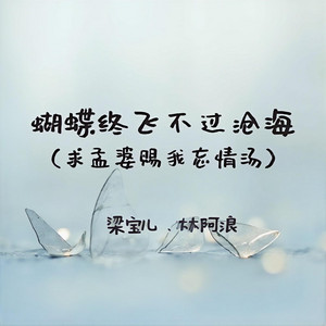 蝴蝶终飞不过沧海 - 求孟婆赐我忘情汤 by 梁宝儿, 林阿浪