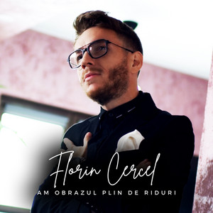 Florin Cercel - Am obrazul plin de riduri
