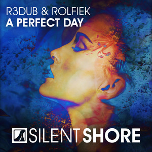 A Perfect Day - Radio Edit by R3dub, Rolfiek