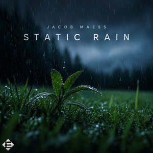 Static Rain by Jacob Maess