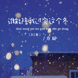 谁能陪我过完这个冬 - Dj版 by 方辰, 李想