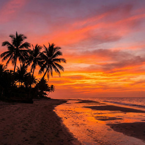 playa roja by Hojas de Octubre