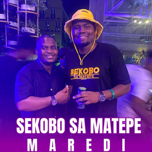 SEKOBO SA MATEPE LIFESTYLE - Lekgeswa SP (Maredi)