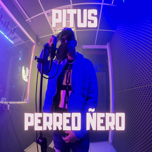 Perreo ñero