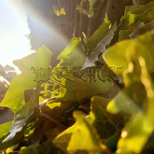 album cover: IV: Sommer