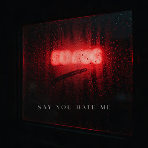 Say you hate me by Fantasoner