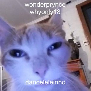 whyonly18 — Danceleleinho (Slowed)