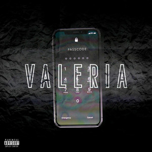 Portada de Passcode