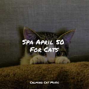 Spa April 50 For Cats album