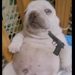 PIBBLES DIE