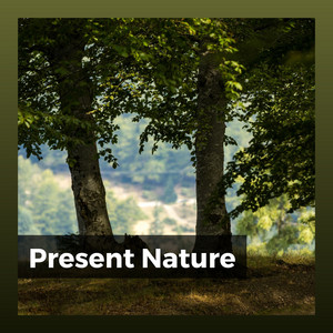 Present Nature album