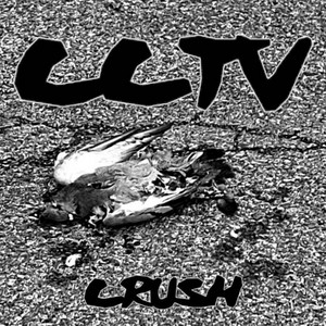 Catnip Conspiracy TeleVision - SpaceX SuX