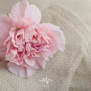 落日余晖|浪漫酒店音乐