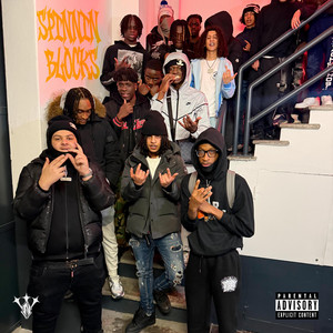 Spinnin blocks by Sanxho