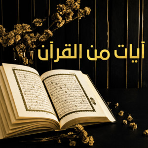 تلاوة روحانية عذبة لما تيسّر من سورة البقرة عبدالله المدني by آيات من القرآن