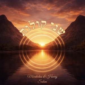 Shnei Kolot by Mordechai Salem, Harry Salem