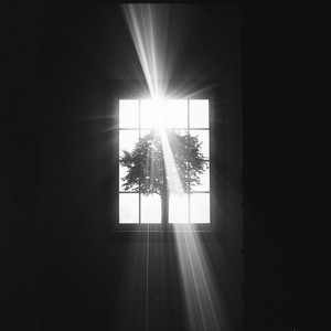 Waking Up by Fiona Harte